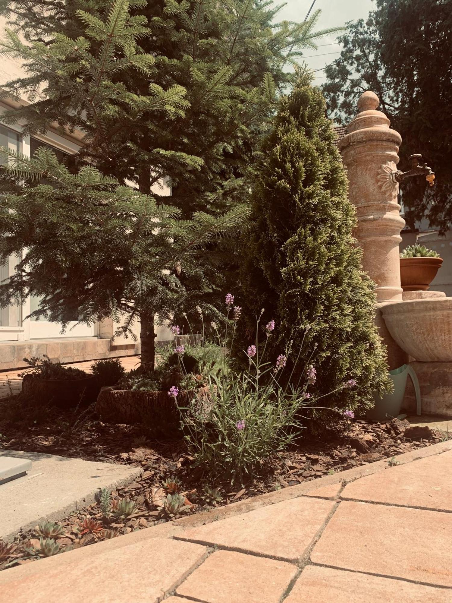 SentaLa Casa Tamaris公寓 外观 照片